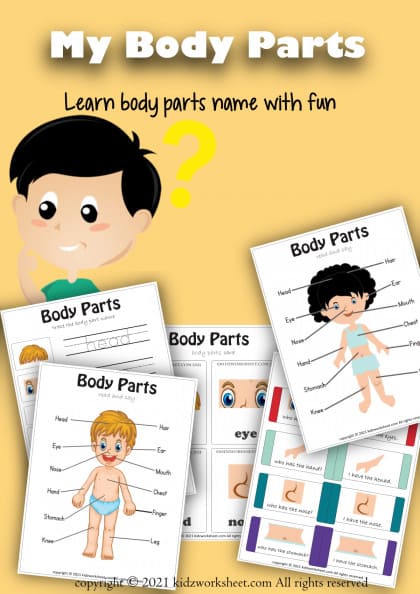 Body Parts worksheet (home schooling and online class)