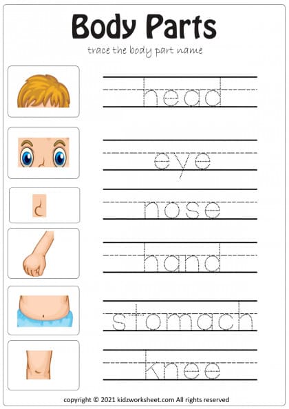 body parts worksheet home schooling and online class